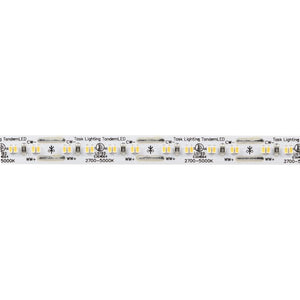 Task Lighting L-T600-100-12V 100 ft 300 Lumens/Ft Tunable-White 12V Tape Light with TandemLED Technology
