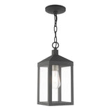 Livex Lighting 20591-76 Nyack - One Light Outdoor Hanging Lantern, Scandinavian Gray Finish with Clear Glass