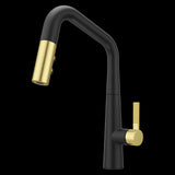 Asari 1-Handle Pull-Down Kitchen Faucet in Matte Black and Brushed Gold