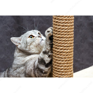 KingCord 644871TV Twisted Sisal, Reel, 1 in (25.4 mm), 65 ft, 660 lb