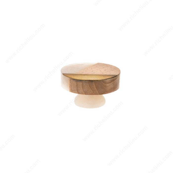 Richelieu BP664513005PEA Eclectic Plastic and Metal Knob - 6645