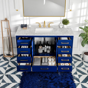 Eviva Aberdeen 48 Inch Blue Transitional Single Sink Bathroom Vanity