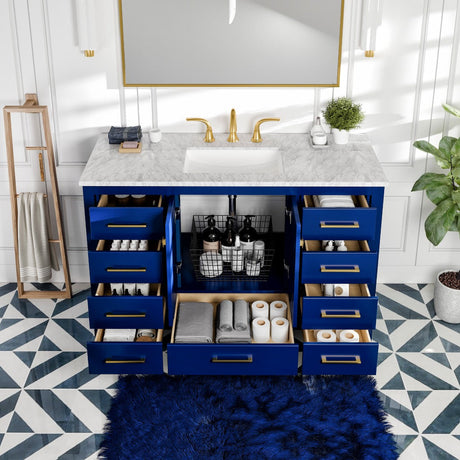 Eviva Aberdeen 48 Inch Blue Transitional Single Sink Bathroom Vanity