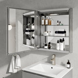 Eviva Lazy  Glass Medicine Cabinet