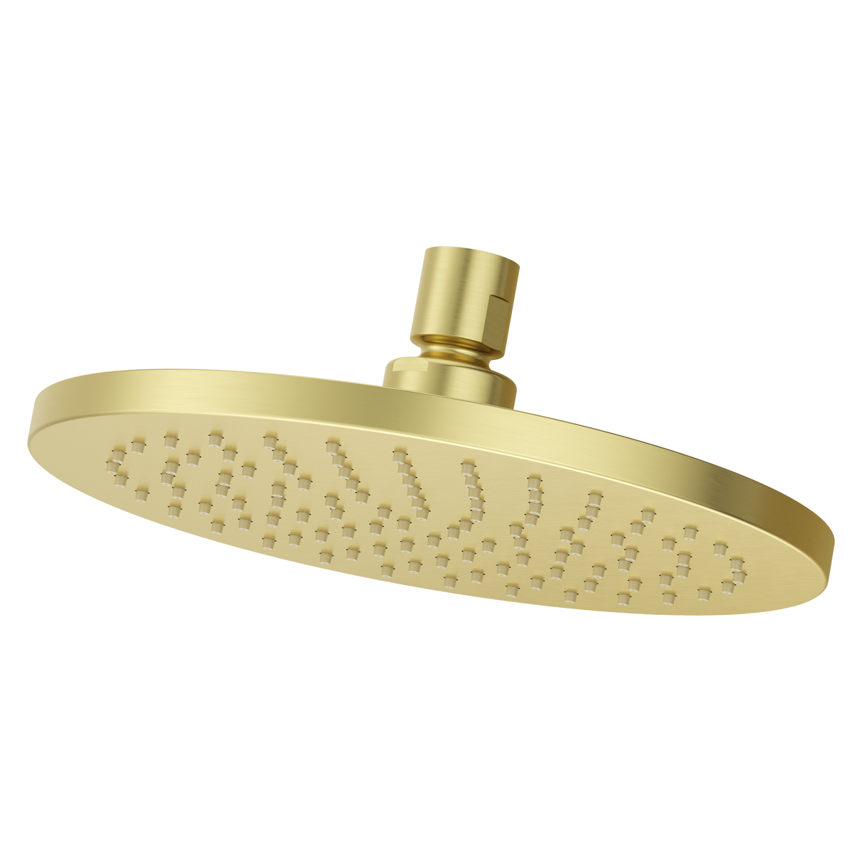 Modern Round 8 in. Raincan Showerhead in Brushed Gold