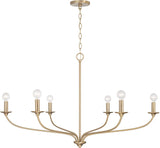 Capital Lighting 449961MA Dolan 6 Light Chandelier Matte Brass