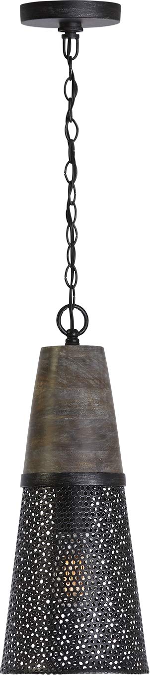 Capital Lighting 333911BH-692 Coker 1 Light Pendant Barn House
