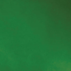 Matthews Fan MP-GREEN-MTL Michelle Parede vintage style wall fan in Esmerelda (Green) finish.