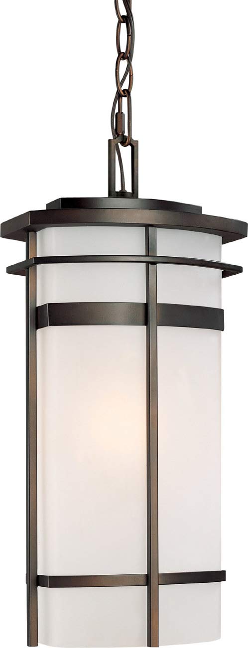 Capital Lighting 9885OB Lakeshore 1 Light Outdoor Hanging Lantern Old Bronze