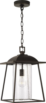 Capital Lighting 943614BK Durham 1 Light Outdoor Hanging Lantern Black