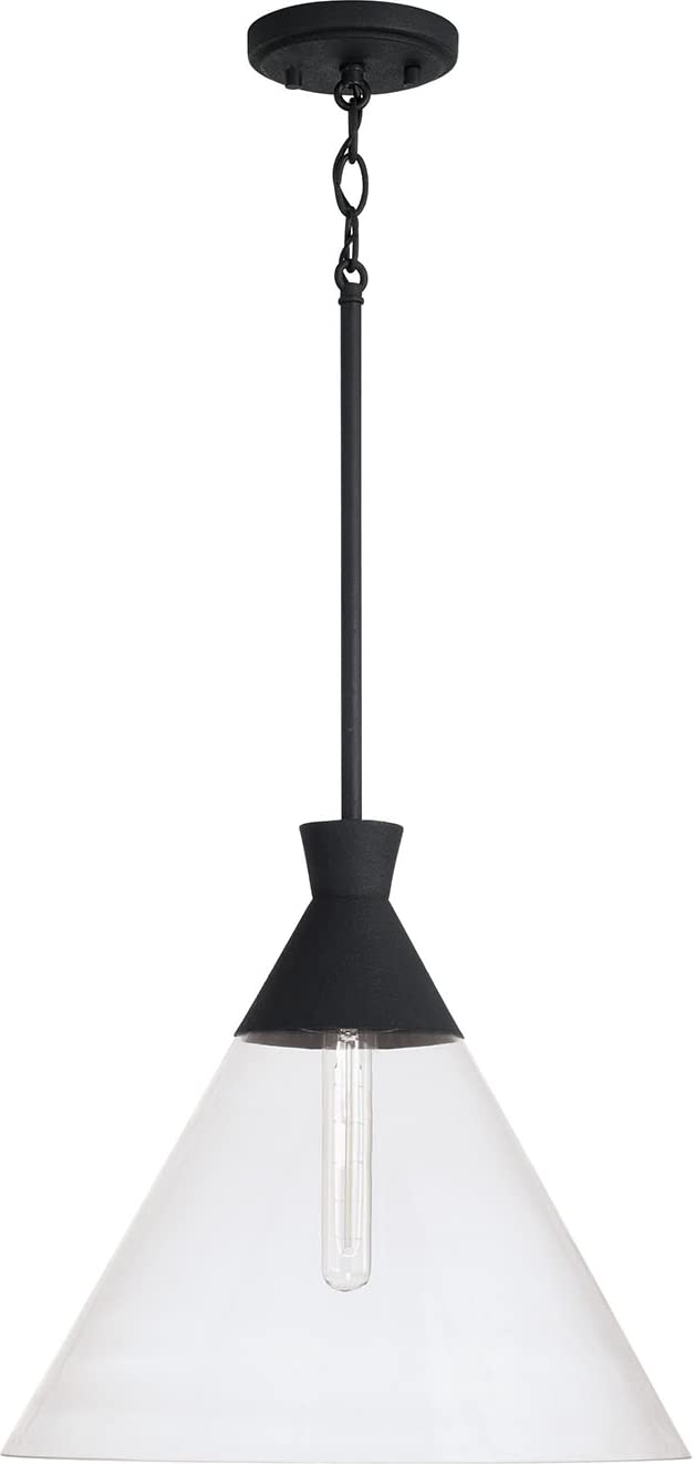 Capital Lighting 350311XK Paloma 1 Light Pendant Textured Black