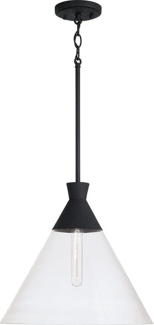 Capital Lighting 350311XK Paloma 1 Light Pendant Textured Black