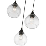 Livex Lighting 46503-04 Catania Pendant Black with Brushed Nickel Accents