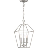 Quoizel AVY5203BN Aviary Pendant Ceiling Lighting, 3-Light, 180 Watts, Brushed Nickel (17"H x 10"W)