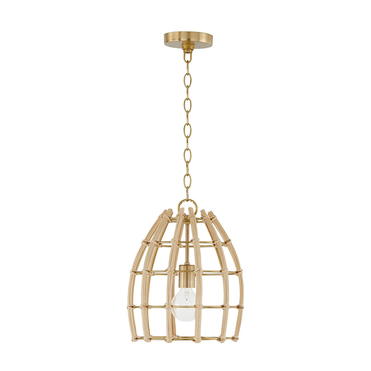 Capital Lighting 344111MA Wren 1 Light Pendant Matte Brass