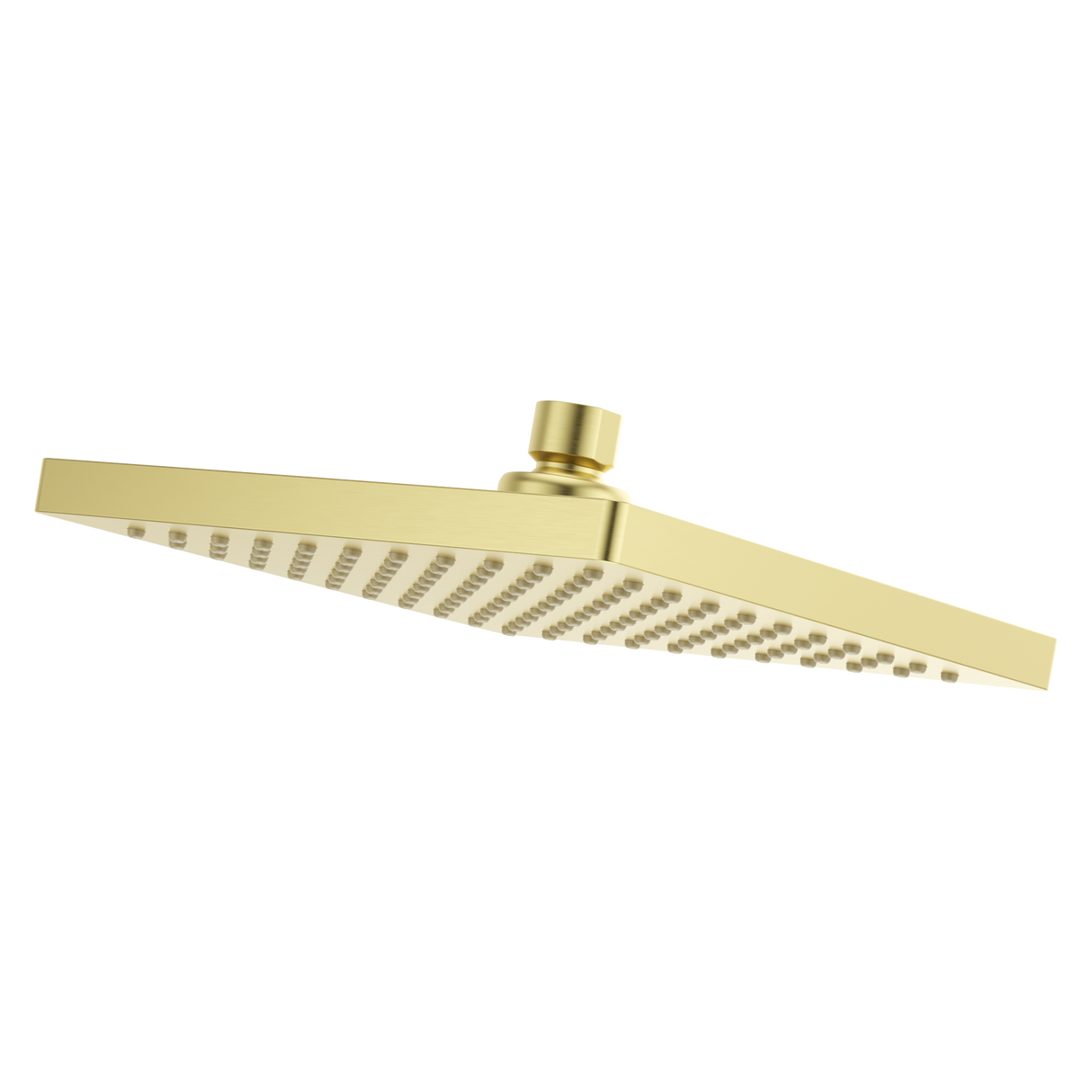Modern Square 8 in. Raincan Showerhead in Brushed Gold