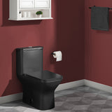 Carre One-Piece Square Toilet Dual-Flush in Matte Black 1.1/1.6 gpf