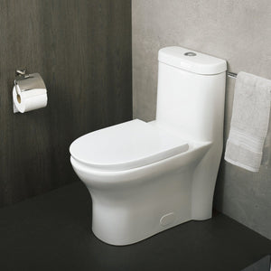 DAX Ceramic Modern Oval Toilet, White BSN-832