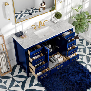 Eviva Aberdeen 48 Inch Blue Transitional Single Sink Bathroom Vanity