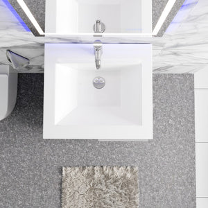 Deluxe 24 in. Gray Single Sink Bath Vanity with Porcelain Top and Integrated Sink