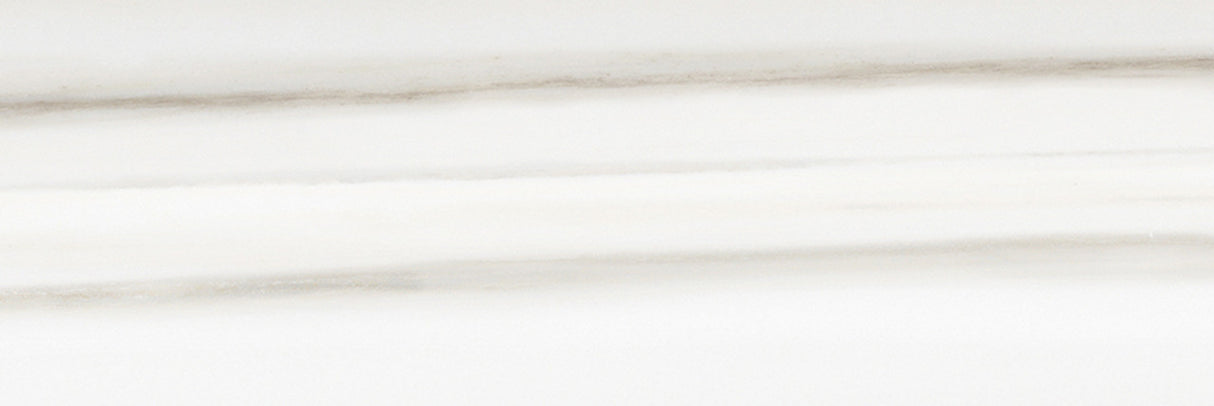 Anatolia Tile 4X12 Mayfair Zebrino Polished Rectified Porcelain 4500-0416-1 Zebrino 4x12 - premium natural stone mosaic tile from Anatolia Tile, available at PoshHaus showroom in Keene, NH