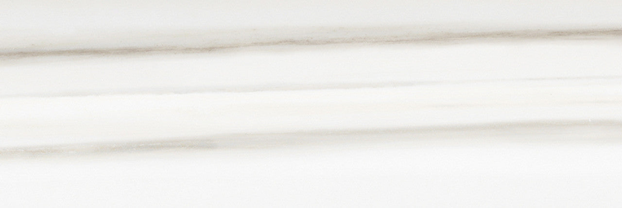 Anatolia Tile 4X12 Mayfair Zebrino Polished Rectified Porcelain 4500-0416-1 Zebrino 4x12 - premium natural stone mosaic tile from Anatolia Tile, available at PoshHaus showroom in Keene, NH