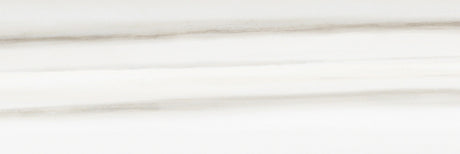 Anatolia Tile 4X12 Mayfair Zebrino Polished Rectified Porcelain 4500-0416-1 Zebrino 4x12 - premium natural stone mosaic tile from Anatolia Tile, available at PoshHaus showroom in Keene, NH