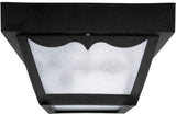 Capital Lighting 9239BK Outdoor 2 Light Outdoor Flush Mount Black