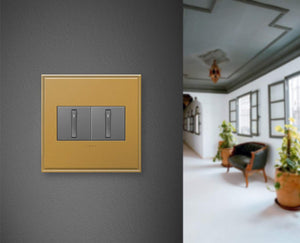 Legrand Adorne Brushed Stainless Steel, 2-Gang Wall Plate AWC2GBS4