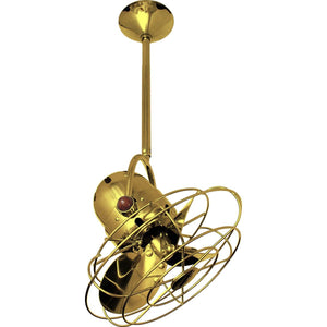 Matthews Fan BD-GOLD-MTL Bianca Direcional ceiling fan in Ouro (Gold) finish with metal blades.