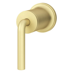 Pfister Brushed Gold Diverter Trim 016-TNT1BG
