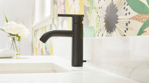 Gerber D225258BS Parma Single Handle Bathroom Faucet With Metal Pop-up Drain - SA...