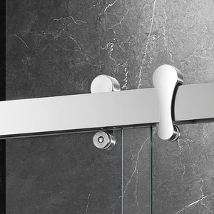 Essence 60'' * 76'' Framed Shower Door (Matte Black)