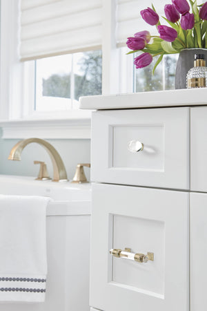 Amerock Cabinet Knob Clear/Golden Champagne 1-3/4 inch (44 mm) Length Glacio 1 Pack Drawer Knob Cabinet Hardware