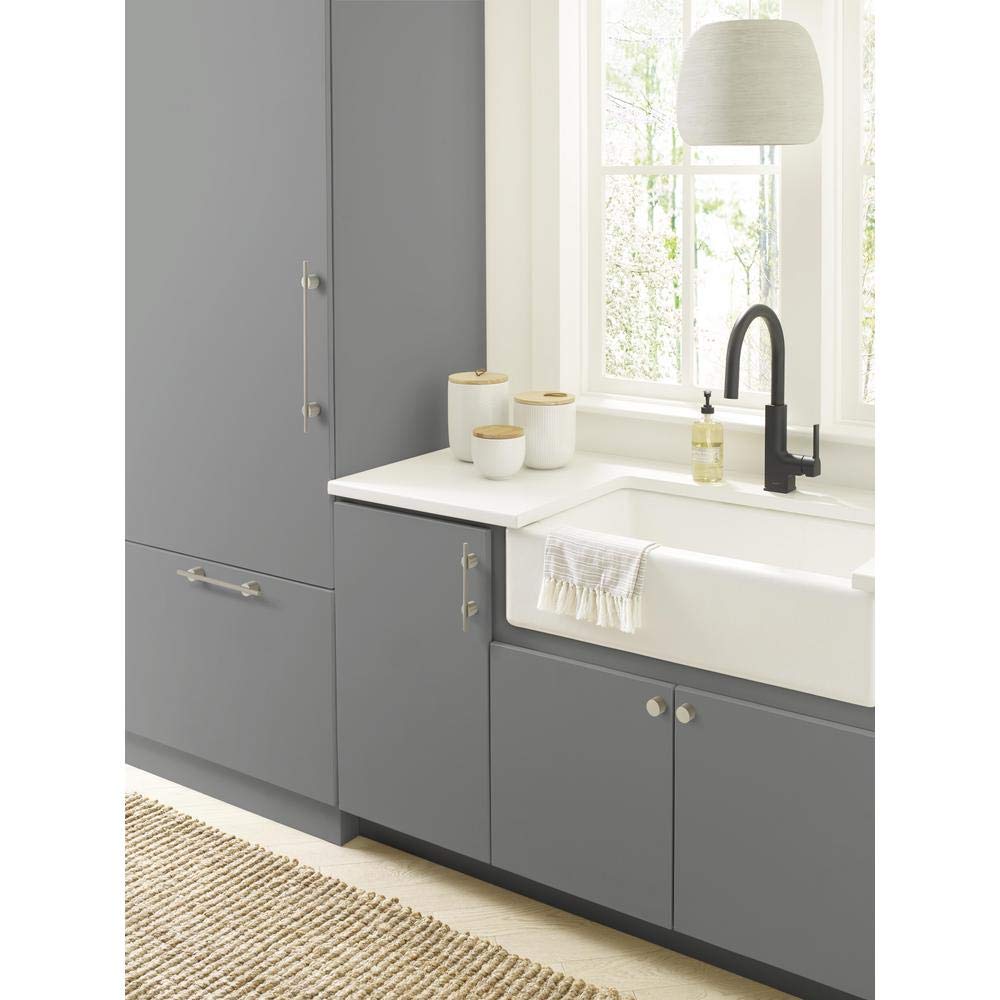 Amerock Cabinet Pull Silver Champagne 10-1/16 inch (256 mm) Center to Center Transcendent 1 Pack Drawer Pull Drawer Handle Cabinet Hardware