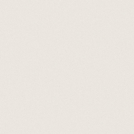 Anatolia Tile 12X12 Prima White Rectified Matte 4500-0588-1 Warm White 12x12 - premium natural stone mosaic tile from Anatolia Tile, available at PoshHaus showroom in Keene, NH