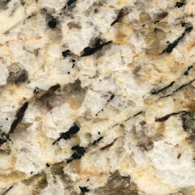 SenSa Caroline Summer/Polished Granite Yellow Kitchen Countertop