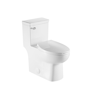 DAX Ceramic Toilet with Soft Closing Seat, White BSN-CL12335S