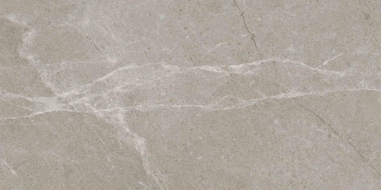 Anatolia Tile 12X24 Torino Vanizio Matte Porcelain Tile 69-397  - premium natural stone mosaic tile from Anatolia Tile, available at PoshHaus showroom in Keene, NH