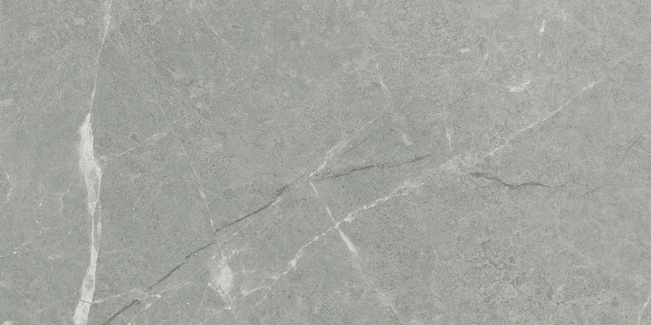 Anatolia Tile 12X24 Torino Argento Matte Porcelain Tile 69-398  - premium natural stone mosaic tile from Anatolia Tile, available at PoshHaus showroom in Keene, NH
