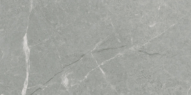 Anatolia Tile 12X24 Torino Argento Matte Porcelain Tile 69-398  - premium natural stone mosaic tile from Anatolia Tile, available at PoshHaus showroom in Keene, NH