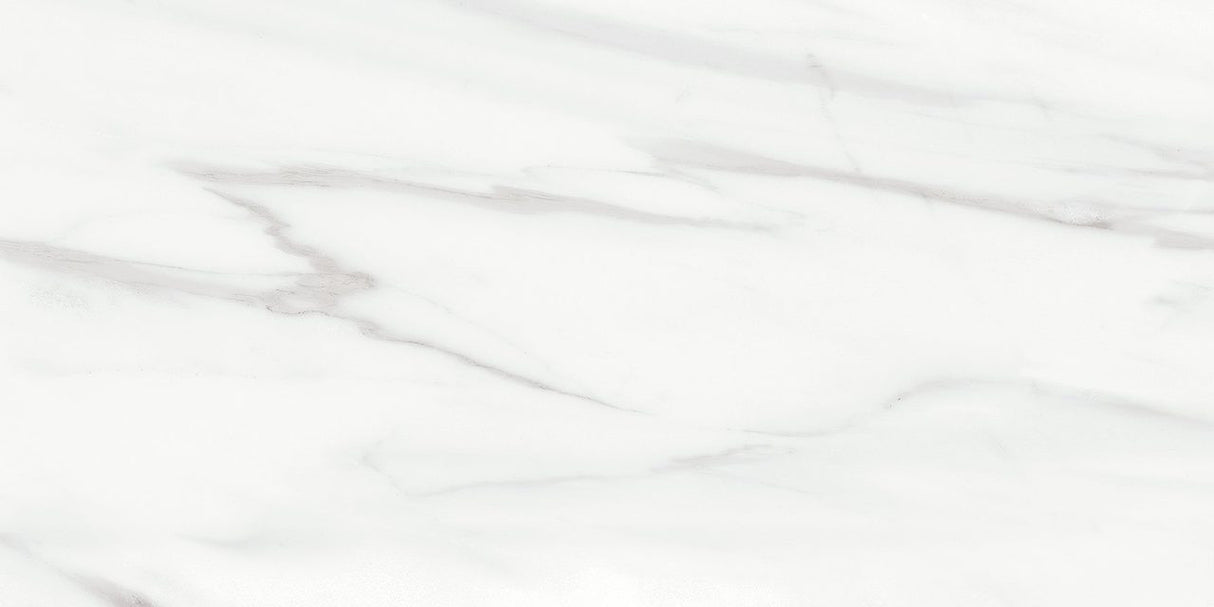 Anatolia Tile 12X24 Mayfair Volakas Grigio Matte Rectified Porcelain 4500-0411-1 Volakas Grigio 12x24 Matte - premium natural stone mosaic tile from Anatolia Tile, available at PoshHaus showroom in Keene, NH