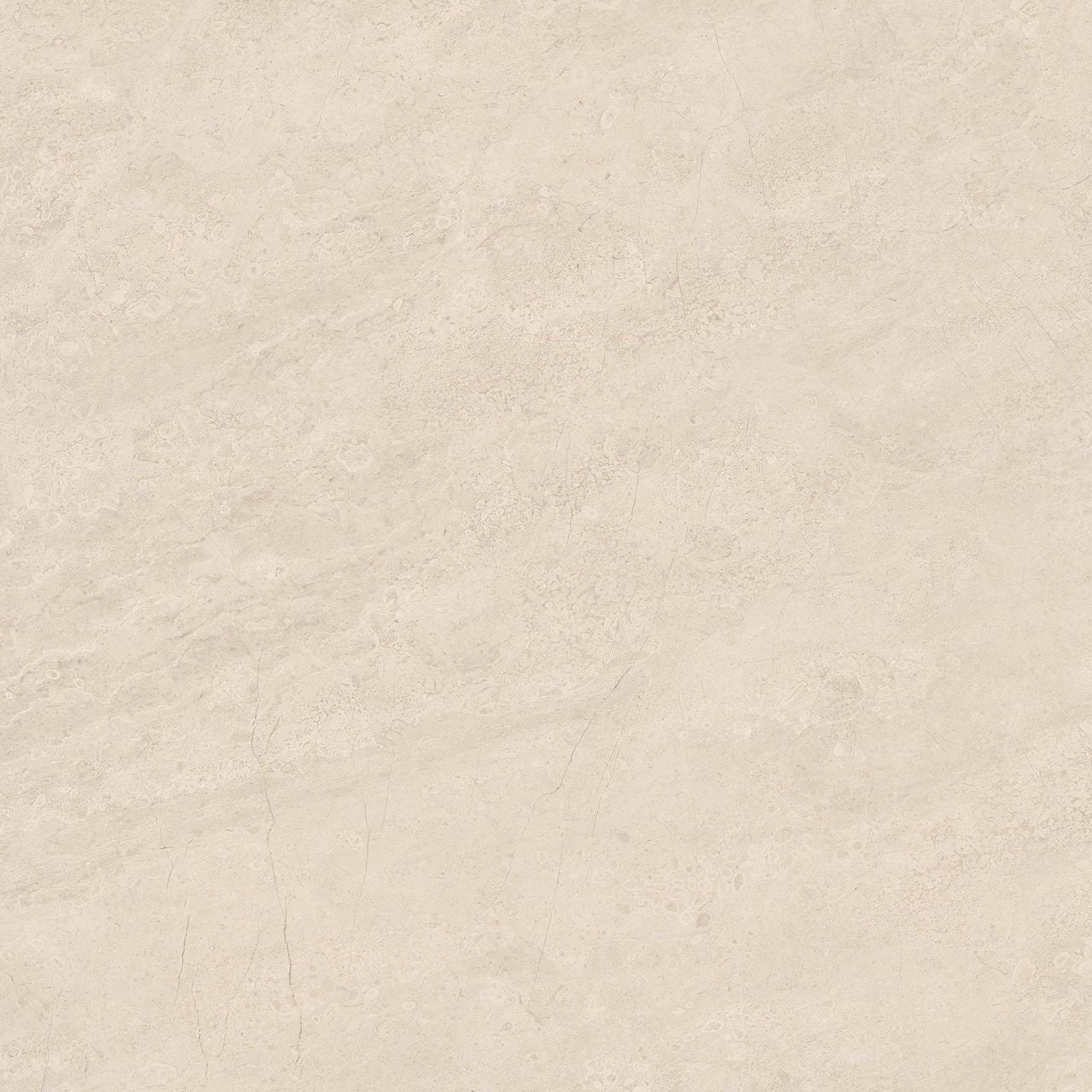 Anatolia Tile 24X24 Mayfair Allure Ivory Polished Rectified Porcelain 4500-0369-1 Allure Ivory 24x24 Polished - premium natural stone mosaic tile from Anatolia Tile, available at PoshHaus showroom in Keene, NH