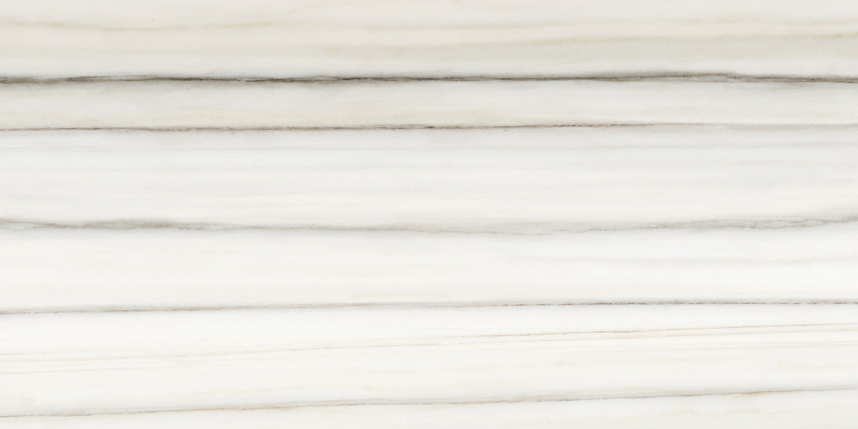 Anatolia Tile 12X24 Mayfair Zebrino Polished Rectified Porcelain 4500-0420-1 Zebrino 12x24 Polished - premium natural stone mosaic tile from Anatolia Tile, available at PoshHaus showroom in Keene, NH