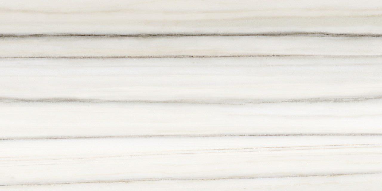 Anatolia Tile 12X24 Mayfair Zebrino Polished Rectified Porcelain 4500-0420-1 Zebrino 12x24 Polished - premium natural stone mosaic tile from Anatolia Tile, available at PoshHaus showroom in Keene, NH