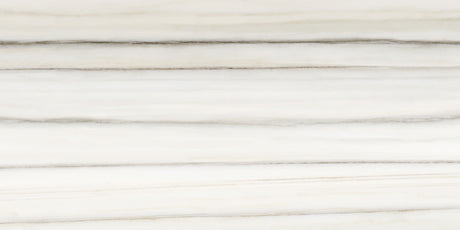 Anatolia Tile 12X24 Mayfair Zebrino Polished Rectified Porcelain 4500-0420-1 Zebrino 12x24 Polished - premium natural stone mosaic tile from Anatolia Tile, available at PoshHaus showroom in Keene, NH