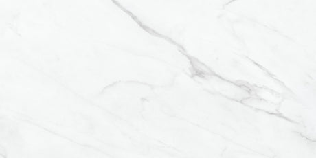Anatolia Tile 12X24 Altezza Carrara Matte Porcelain Tile 69-993  - premium natural stone mosaic tile from Anatolia Tile, available at PoshHaus showroom in Keene, NH