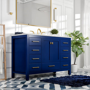 Eviva Aberdeen 48 Inch Blue Transitional Single Sink Bathroom Vanity