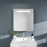 Eviva Lazy  Glass Medicine Cabinet