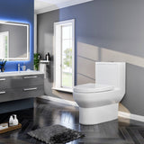 Scale 12 inch Floor Mounted 1-piece 1.28 GPF Dual Flush Elongated Toilet in White Seat Included